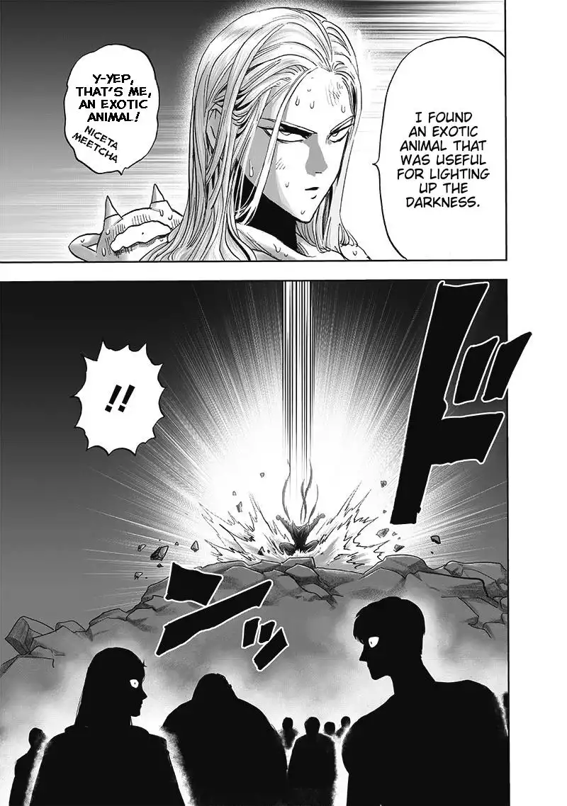 One-Punch Man Chapter 165 29